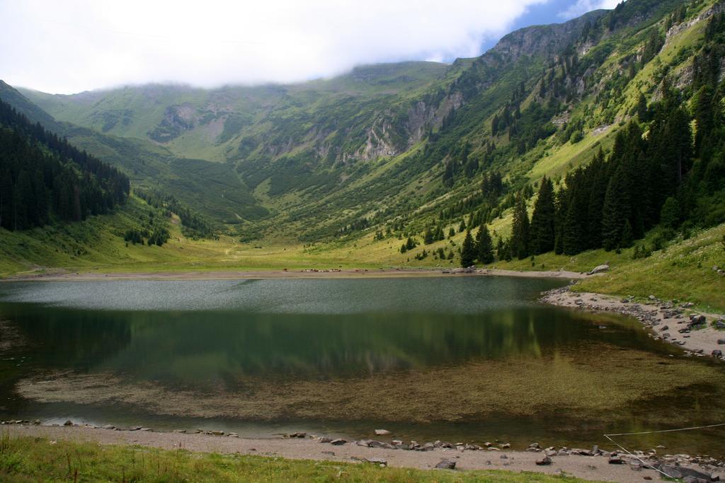 Residence Les Chardons Argentes 2 Samoëns Exteriér fotografie