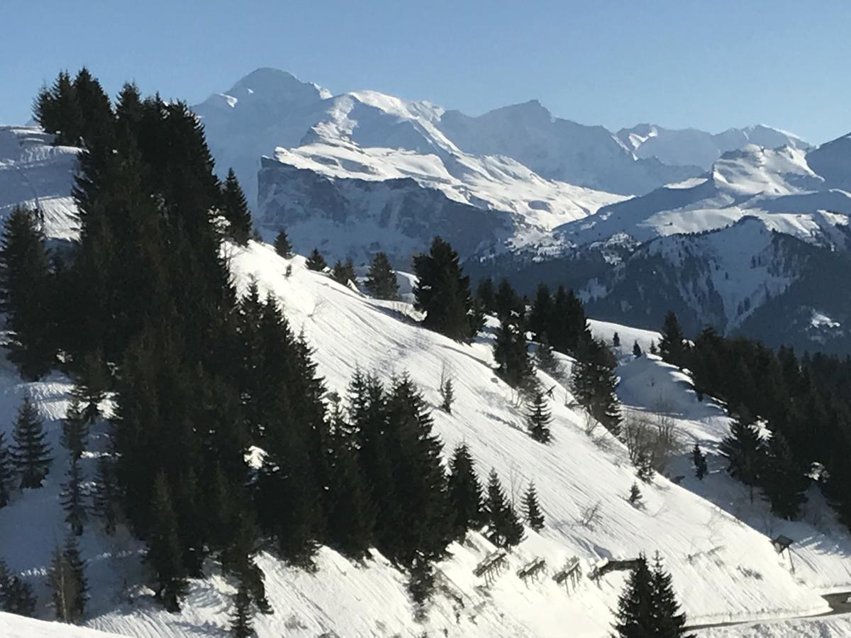 Residence Les Chardons Argentes 2 Samoëns Exteriér fotografie